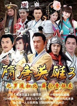 隋唐英雄3dvd